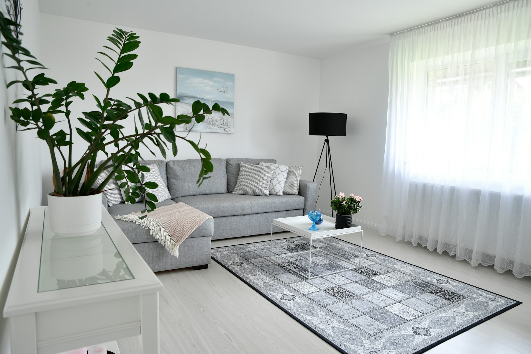 Salon clair avec canapé d'angle gris, tapis et grande plante verte.